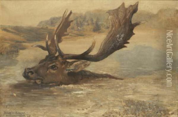 Fallow Buck Swimming Oil Painting - Dorothy K Sawyer