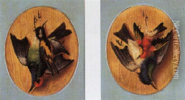 Trampantojo Con Aves Oil Painting - Michelangelo Meucci