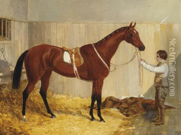 The Bay Racehorse Alice Hawthorn, Held By A Groom In Her Stable Oil Painting - John Frederick Herring Snr