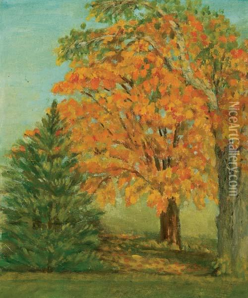 Autumn Maple. Oil Painting - Gertrude Spurr Cutts