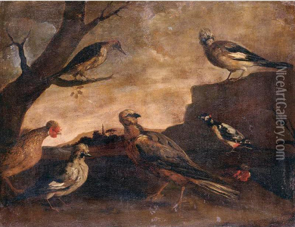 Birds In A Landscape Oil Painting - Paolo Antonio Barbieri