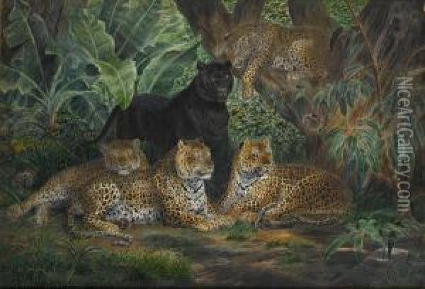 Leopards At Rest Oil Painting - P H Staines