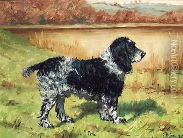 Jim, a Springer Spaniel Oil Painting - George Paice