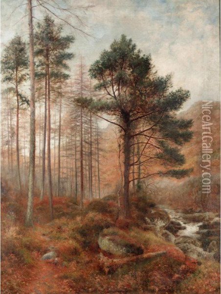 A Wooded River Landscape Oil Painting - Charles France