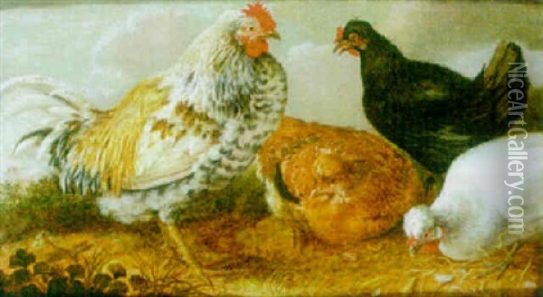 A Cockerel And Chickens In A Landscape Oil Painting - Gysbert Gillisz de Hondecoeter