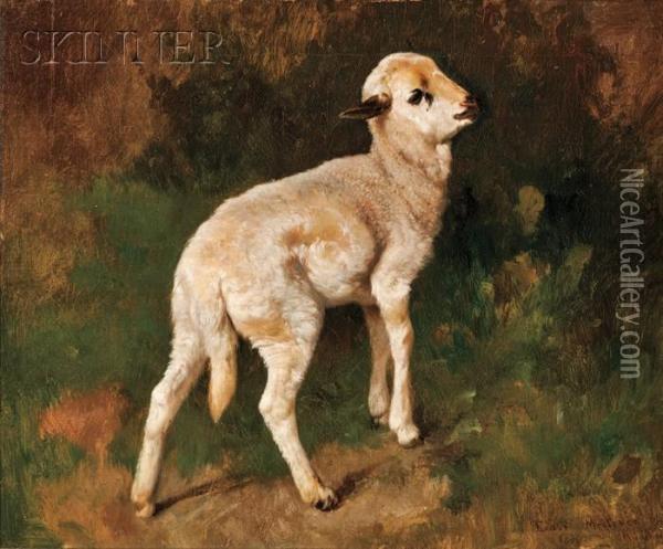The Little Lamb Oil Painting - Ernst Adolf Meissner