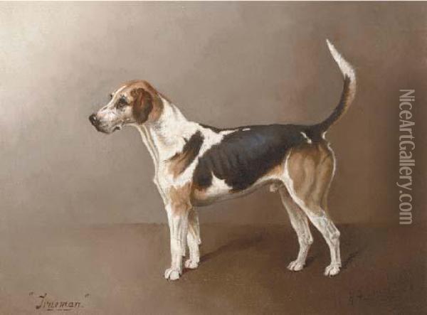 Holderness Trueman, A Beagle Oil Painting - Henry Frederick Lucas-Lucas