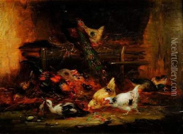 Basse Cour Avec Un Paon Oil Painting - Claude Guilleminet