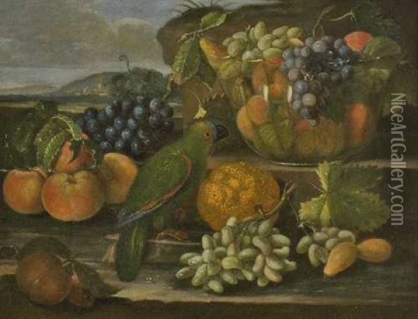 Fruchtestillleben Mit Papagei Oil Painting - Giovanni Paolo Castelli (lo Spadino)