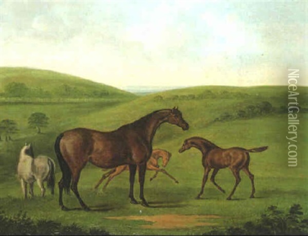 Mares And Foals In Landscape Oil Painting - John Nost Sartorius