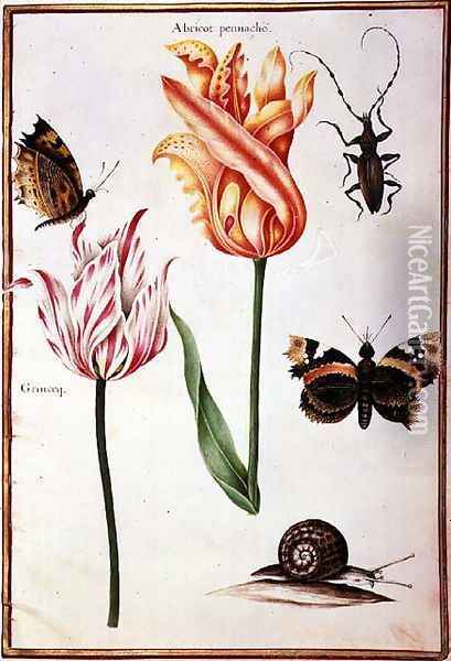 Two Broken Tulips, a Beetle, a Snail and two Butterflies Oil Painting - Nicolas Robert
