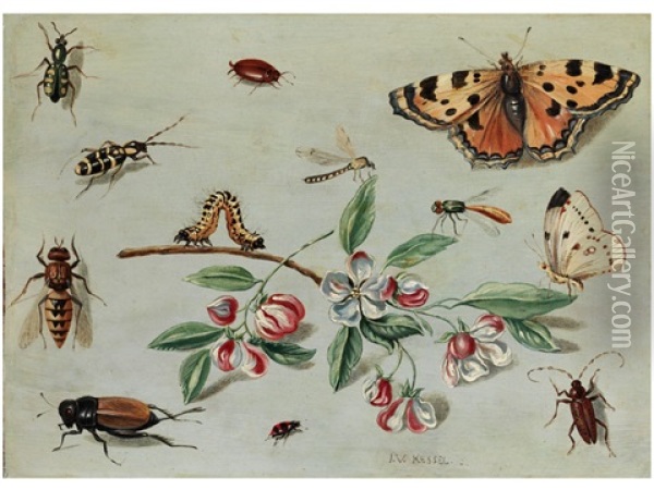 Schmetterlinge, Kafer, Raupe Und Blumenzweig Oil Painting - Jan van Kessel the Elder