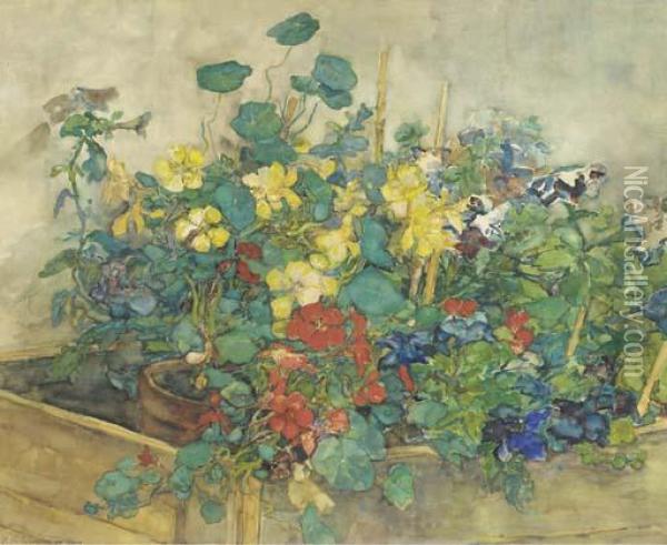 Flowering Potplants Oil Painting - Johannes Evert Akkeringa