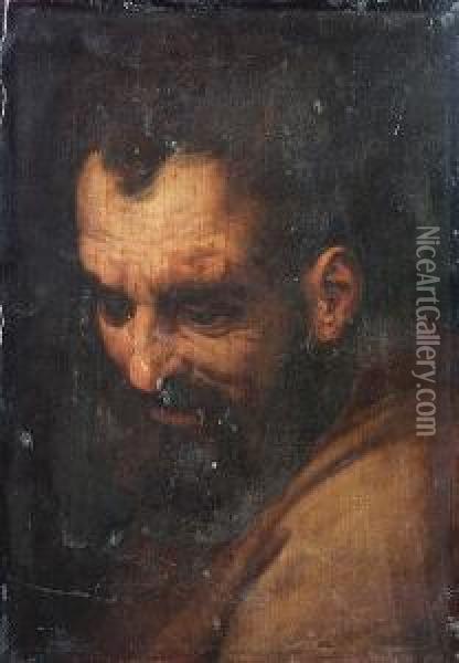 The Head Of A Bearded Man Oil Painting - Frans I Vriendt (Frans Floris)