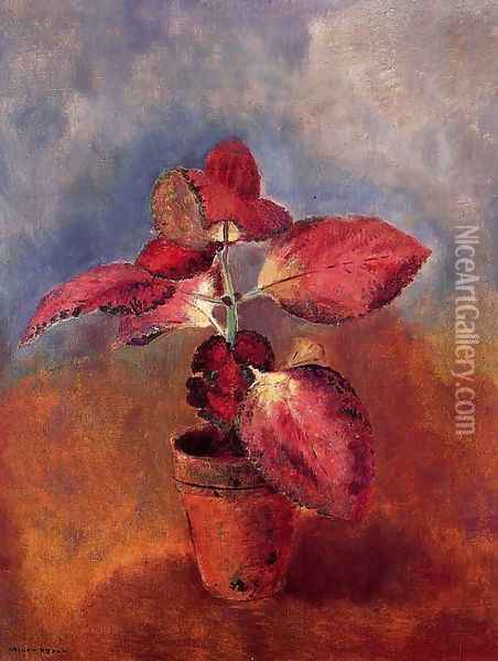 Begonia In A Pot Oil Painting - Odilon Redon