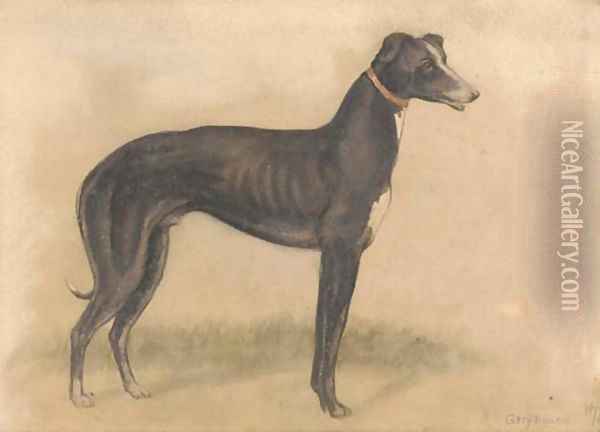 Study of a greyhound Oil Painting - English School