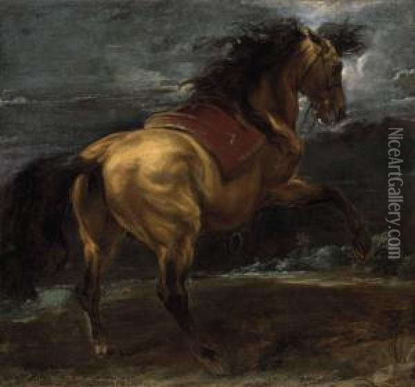 A Rearing Stallion Oil Painting - Sir Anthony Van Dyck