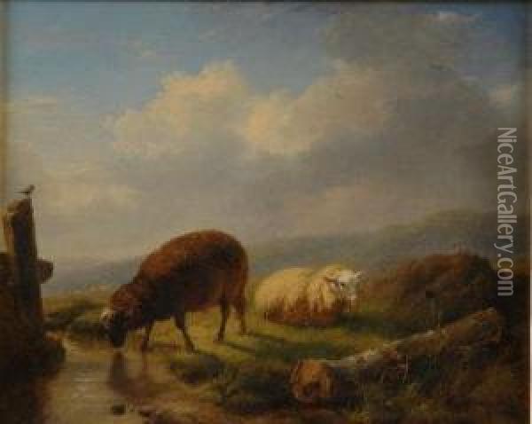 Belgian Sheep In A Moorland Landscape Oil Painting - Eugene Verboeckhoven
