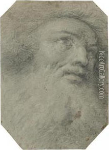 Head Of A Bearded Man, Looking Up To The Right Oil Painting - Bartolomeo Schedoni
