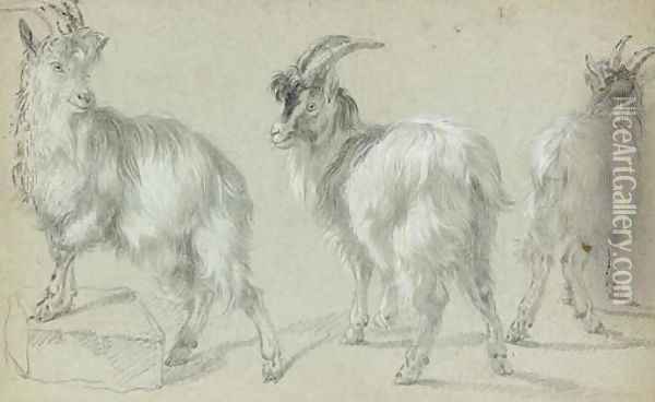 Three goats Oil Painting - Francesco Londonio