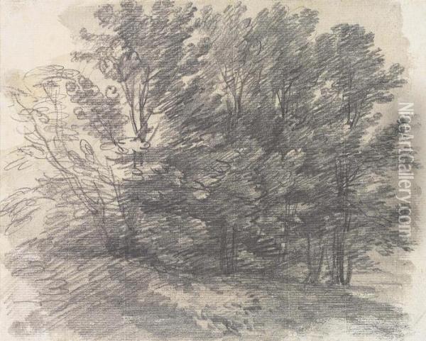 Gainsborough, R.a. A Clump Of Trees Numbered 'n 
O 
. 59' Pencil And Grey Wash On Paper 6Â¼ X 7 5/8 In Oil Painting - Thomas Gainsborough