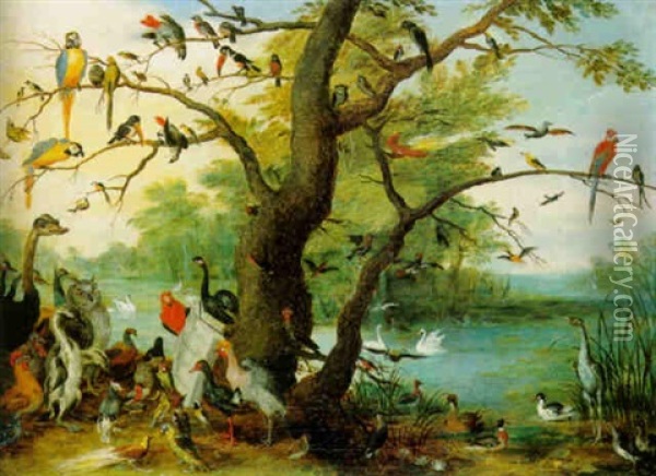 A Concert Of Birds Oil Painting - Ferdinand van Kessel