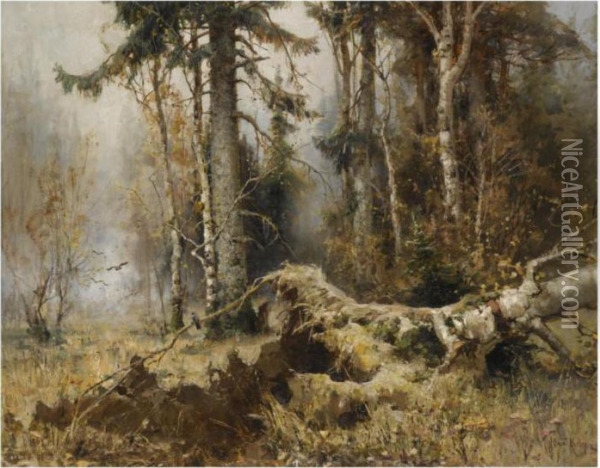 The Forest In Early Morning Oil Painting - Iulii Iul'evich (Julius) Klever