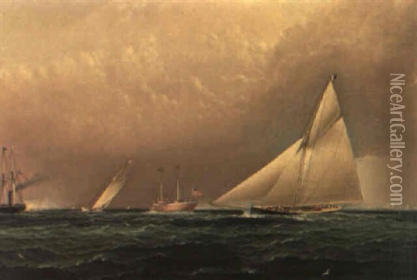 America's Cup Trial Race, 1885 Oil Painting - James Edward Buttersworth