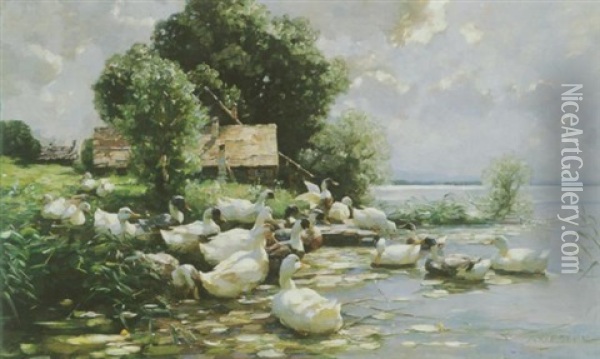 Zweiundzwanzig Enten Am Ufer Des Bodensees Oil Painting - Alexander Max Koester