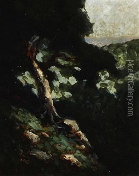 Wooded Scene With Ocean View Oil Painting - William Keith