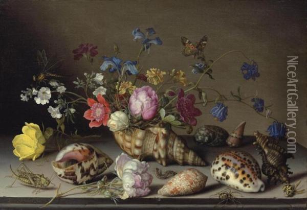 Flowers, Shells And Insects On A Stone Ledge Oil Painting - Balthasar Van Der Ast