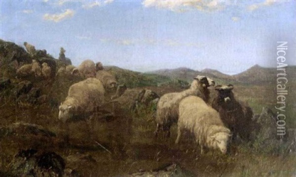 Moutons Au Paturage Oil Painting - August Friedrich Albrecht Schenck