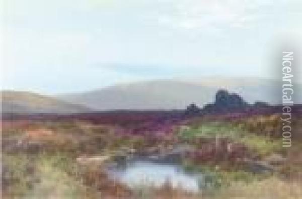 The Moors Near Teign Head, Dartmoor Oil Painting - Frederick John Widgery