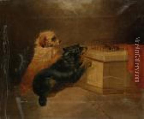Terriers At The Cage Oil Painting - George Armfield