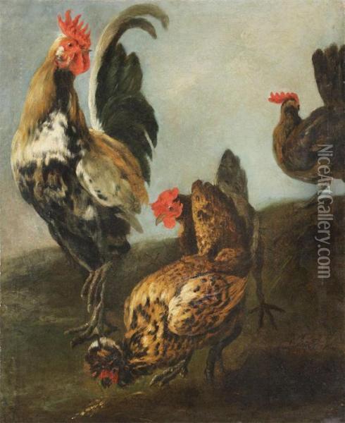 Cock With Chickens Oil Painting - Peeter Boel