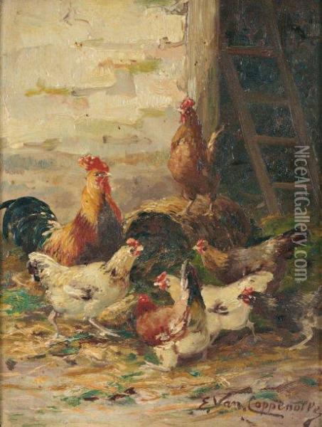  Coqs Et Poules  Oil Painting - Edmond Van Coppenolle