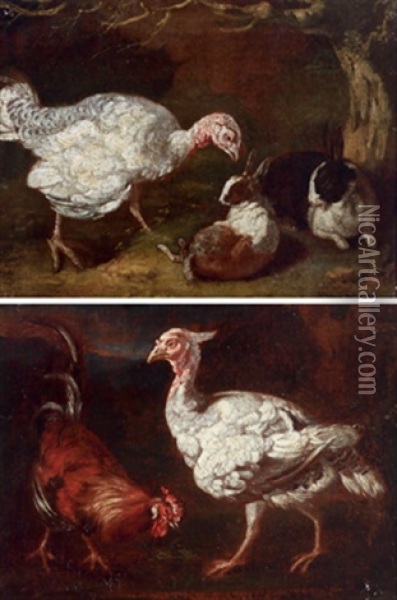 Eine Truthenne Mit Zwei Kaninchen (+ Ein Hahn Mit Einer Truthenne; Pair) Oil Painting - Giovanni Agostino (Abate) Cassana