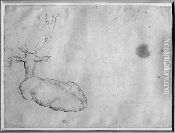Resting stag, seen from behind, from the The Vallardi Album Oil Painting - Antonio Pisano (Pisanello)