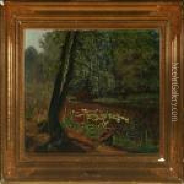 Forrest Scenery With Waterlillys On The Lake Oil Painting - Olaf Viggo Peter Langer