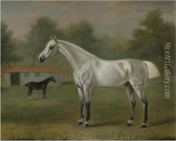 A Grey Horse Oil Painting - J. Francis Sartorius