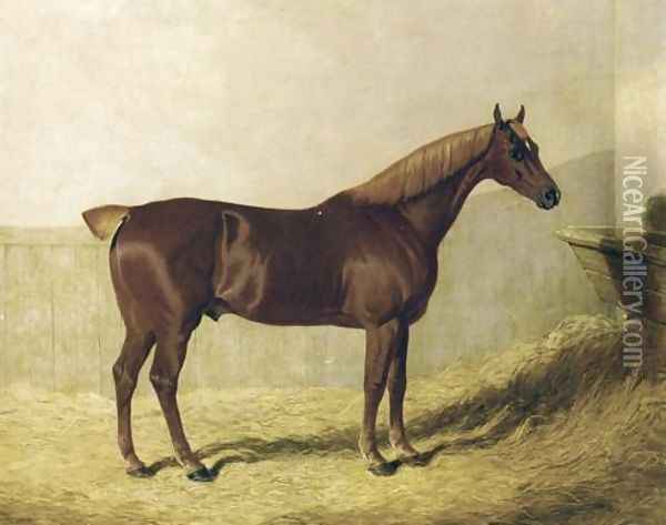 A Chestnut Horse in a Stable Oil Painting - John Frederick Herring Snr