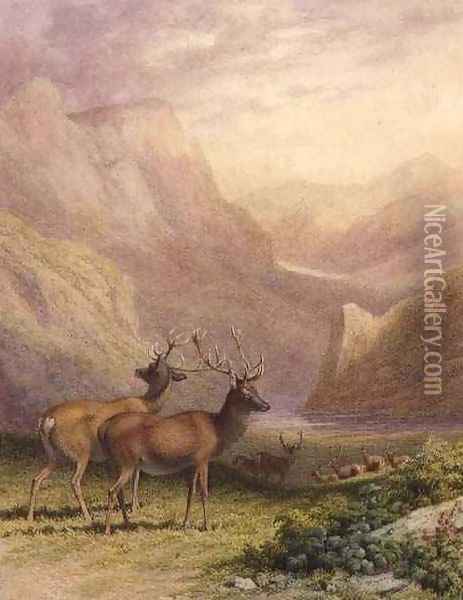 Deer in the Highlands Oil Painting - Robert Hills