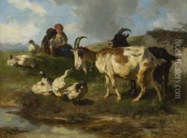 Ganse Und Ziegen Oil Painting - Anton Braith