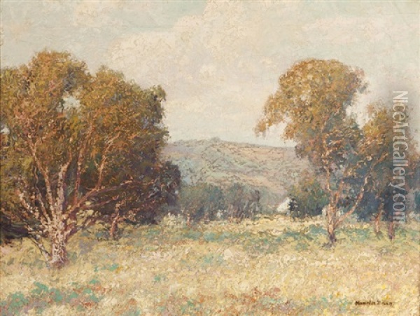 Trees In A California Landscape Oil Painting - Maurice Braun