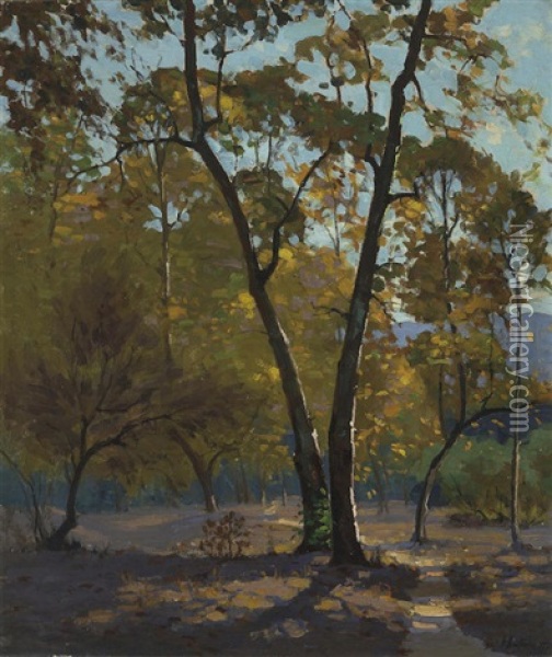 Autumnal Grove Oil Painting - Ferdinand Kaufmann