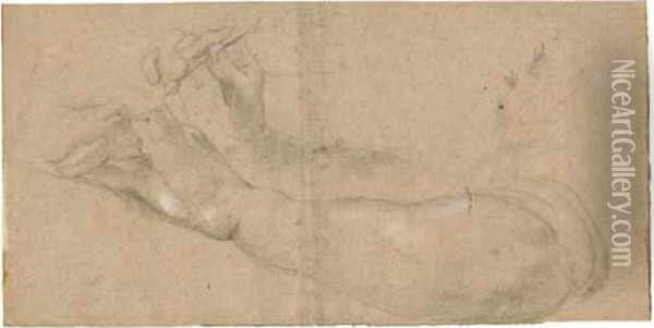 Deux Bras, Dont L'un Tenant Une Plume A La Main Oil Painting - Sir Anthony Van Dyck