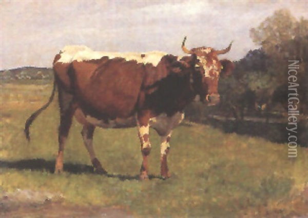 Kuh Auf Der Weide Oil Painting - Hermann Baisch