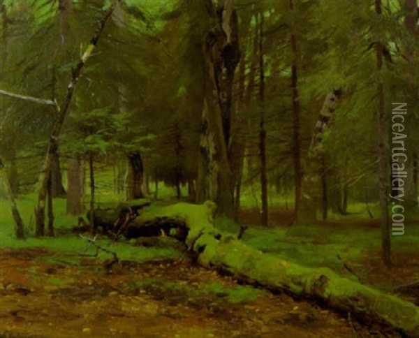 Landschaft In Bialowies Oil Painting - Wilhelm Friedrich Kuhnert