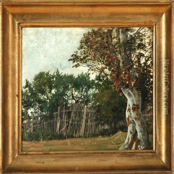 Landscape With An Old Fence Oil Painting - David Monies