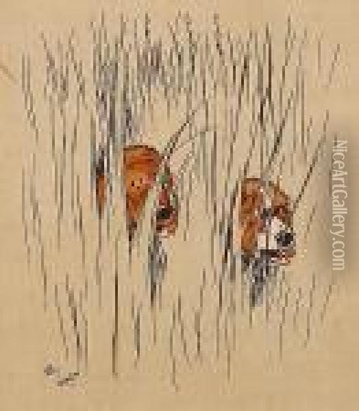 Two Dogs Peering Out Through Tall Grass Oil Painting - Cecil Charles Aldin